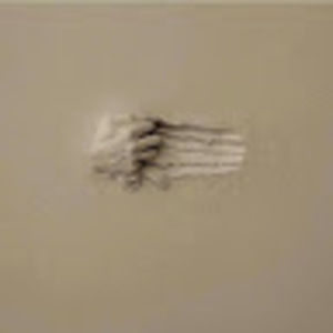 Meet your Posher, Roni